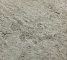 TVT体育-旧地面起砂起尘怎么办